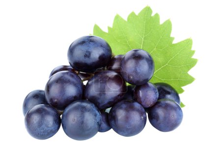 Foto de Grapes fruits grape fruit blue isolated on a white background - Imagen libre de derechos