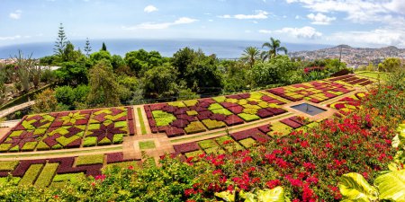 Foto de Flores y plantas en jardín botánico de Funchal panorama de viajes en la isla de Madeira en Portugal - Imagen libre de derechos