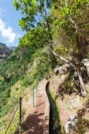 Foto de Sendero de senderismo a lo largo de Levada Nova recorrido retrato formato viaje en la isla de Madeira en Portugal - Imagen libre de derechos