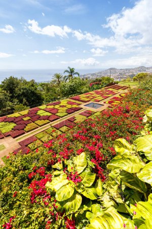 Foto de Flores y plantas en jardín botánico de Funchal formato retrato viajes en la isla de Madeira en Portugal - Imagen libre de derechos