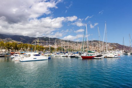 Téléchargez les photos : Marina avec bateaux à Funchal sur l'île de Madère Voyage au Portugal - en image libre de droit