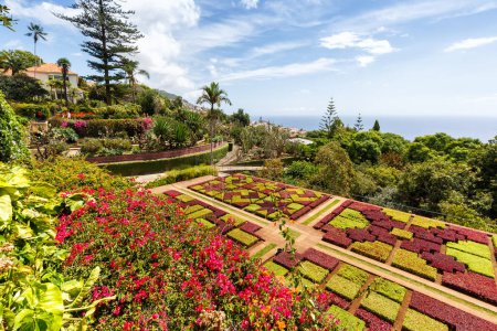 Foto de Flores y plantas en jardín botánico de Funchal viajan a la isla de Madeira en Portugal - Imagen libre de derechos