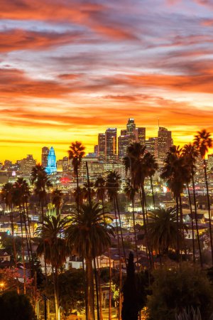 Téléchargez les photos : Vue de l'horizon du centre-ville de Los Angeles avec des palmiers au coucher du soleil format portrait de voyage en Californie États-Unis - en image libre de droit
