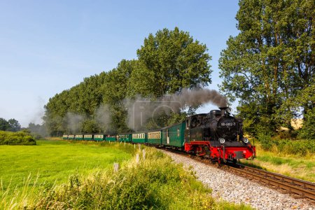 Téléchargez les photos : Chemin de fer à vapeur Rasender Roland à Serams, Allemagne - en image libre de droit