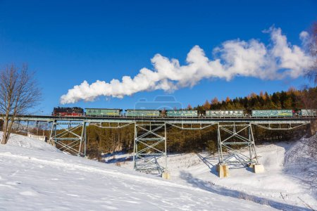 Foto de Oberwiesenthal, Alemania - 18 de diciembre de 2022 Fichtelbergbahn tren de vapor locomotora ferroviaria en un puente en invierno en Oberwiesenthal, Alemania. - Imagen libre de derechos