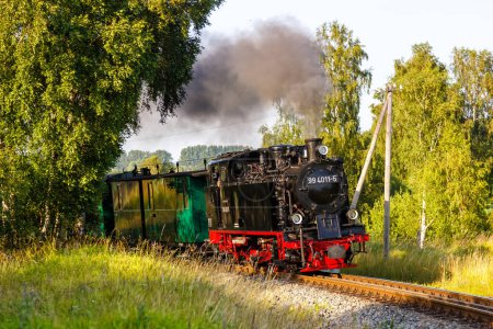 Foto de Rasender Roland tren de vapor tren locomotora ferrocarril en Serams, Alemania - Imagen libre de derechos