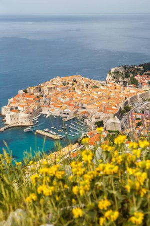 Foto de Vista del casco antiguo de vacaciones en el mar Mediterráneo Dalmacia formato retrato viajar en Dubrovnik, Croacia - Imagen libre de derechos
