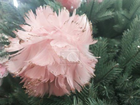 Photo for Christmas decorations. Pink ball of feathers on the Christmas tree - Royalty Free Image