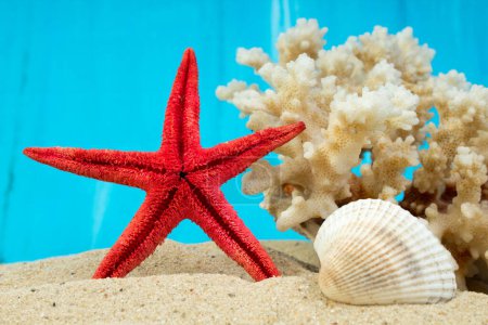 Foto de Estrellas de mar de arena, coral y guijarros como fondo. Concepto de descanso. Vista superior - Imagen libre de derechos