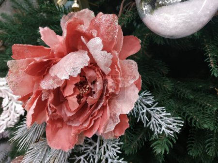 Téléchargez les photos : Thanksgiving et fond de Noël avec fleur de poinsettia rouge, sapin d'épinette bleue et cônes de pin recouverts de neige sur doré - en image libre de droit