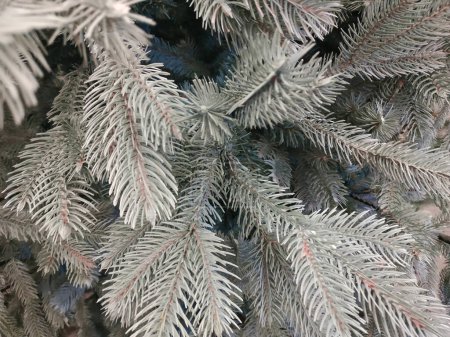 Foto de Artificial, diverso pino de Navidad, fondo de nieve - Imagen libre de derechos