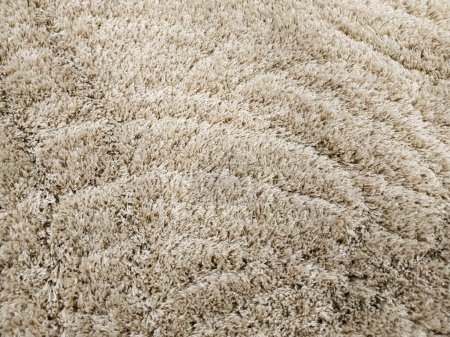 Photo for A fluffy beautiful carpet. Copy space. Flat lay, top view - Royalty Free Image