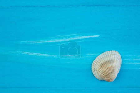 Photo for Sand, seashells, stones on blue background. Concept of rest. Top view - Royalty Free Image
