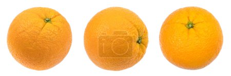 Téléchargez les photos : Orange fraîche et juteuse isolée sur fond blanc. panorama, bannière - en image libre de droit