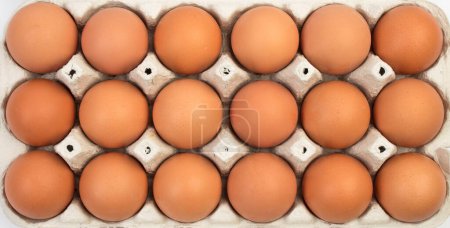 Foto de Huevos de gallina marrón en caja de cartón aislados sobre fondo blanco - Imagen libre de derechos