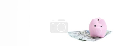 Foto de Hucha rosada, dólares sobre fondo blanco. concepto de ahorro, recaudación de fondos - Imagen libre de derechos