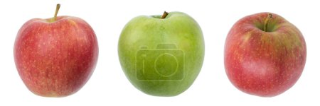 Téléchargez les photos : Ensemble de pommes fraîches entières isolées sur fond blanc. De la vue du dessus. panorama, bannière - en image libre de droit
