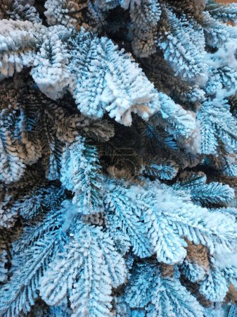 Téléchargez les photos : Artificiel, divers sapin de Noël, fond de neige - en image libre de droit