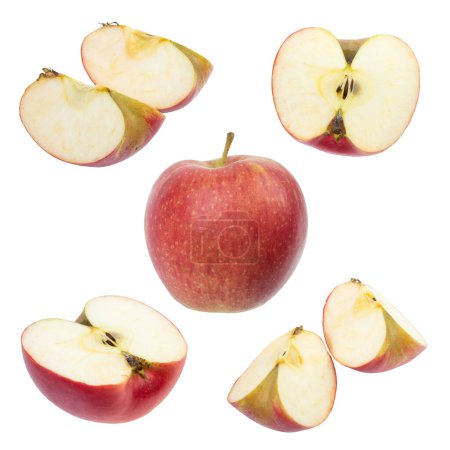 Foto de Conjunto de manzanas frescas enteras y cortadas y rodajas aisladas sobre fondo blanco. Desde vista superior - Imagen libre de derechos