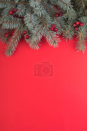 Foto de Composición navideña de ramas de abeto y bayas de viburnum sobre fondo rojo - Imagen libre de derechos
