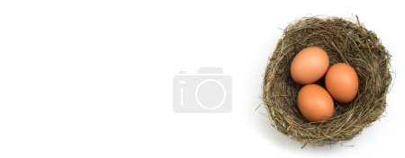 Photo for Happy Easter. Top view nest with three whole brown eggs isolated on white background. Copy space for text - Royalty Free Image