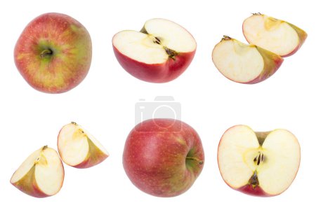 Photo for Set of fresh whole and cut apple and slices isolated on white background. From top view - Royalty Free Image