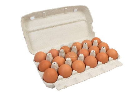 Téléchargez les photos : Oeufs de poule bruns dans une boîte en carton isolé sur fond blanc - en image libre de droit