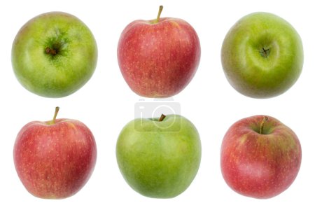 Téléchargez les photos : Ensemble de pommes fraîches entières et coupées et des tranches isolées sur fond blanc. De vue du dessus - en image libre de droit