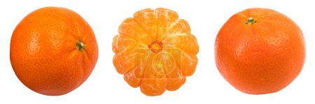 Téléchargez les photos : Mandarine fraîche et juteuse, mandarine isolée sur fond blanc. panorama, bannière - en image libre de droit