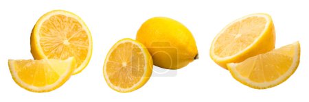 Photo for Fresh, juicy Lemon isolated on a white background. panorama, banner - Royalty Free Image