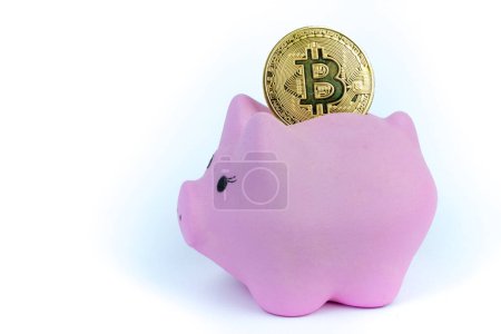 Foto de Hucha rosada, Bitcoin sobre fondo blanco. concepto de ahorro, recaudación de fondos - Imagen libre de derechos