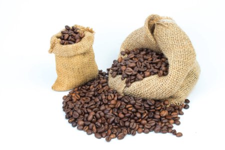 Open burlap bags scattered with whole coffee beans on a white background