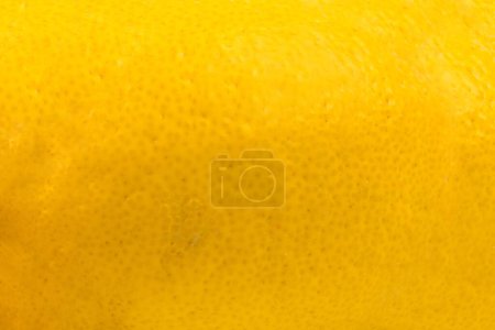 Photo for Citrus, Lemon peel, background grapefruit peel texture - Royalty Free Image