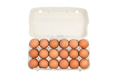 Photo for Brown hen eggs in carton box isolated on white background - Royalty Free Image