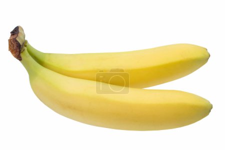 Deux bananes isolées sur fond blanc