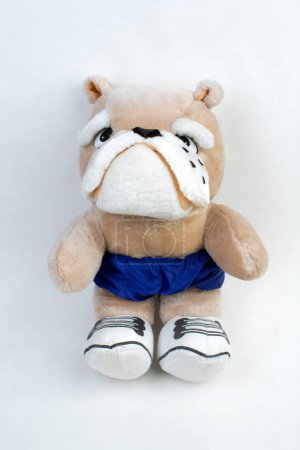 Soft toy. Buddog athlete on a white background