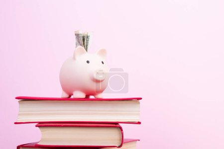 Sparschwein mit Brille und Büchern auf rosa Hintergrund. Offenes Buch. Studiengebühren. Gehirnarbeit