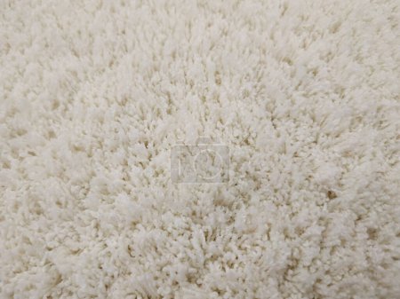Una alfombra hermosa y esponjosa. Copiar espacio. Piso tendido, vista superior