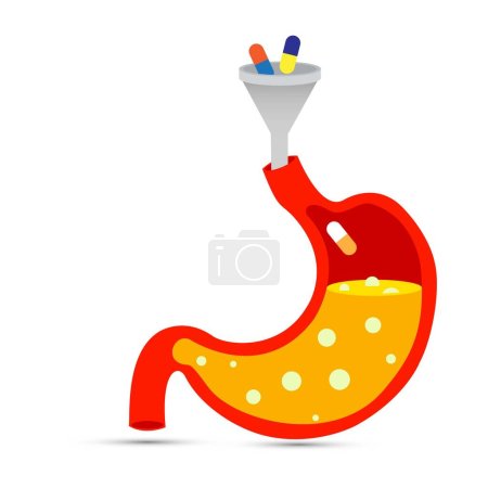 Illustration for Pills falling from a funnel in stomach - Royalty Free Image