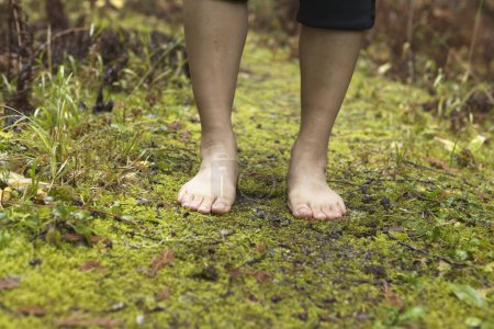 Photo for Close up on the feet and legs walking barefoot on a forest trail getting the benefits of grounding also called grounding. - Royalty Free Image