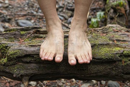 Photo for A close up of a womans legs and feet standing on top of a log in nature getting the benefits of grounding, also known as earthing. - Royalty Free Image