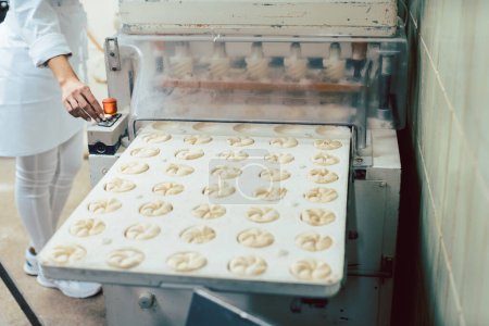 Téléchargez les photos : Baker formant des rouleaux de pain avec une machine dans sa boulangerie - en image libre de droit