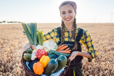 Téléchargez les photos : Récolte à la campagne, agricultrice offrant des légumes pour les amener au marché - en image libre de droit