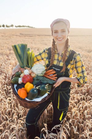 Photo for Woman carrying basket with healthy and locally produced vegetables on a grain field - Royalty Free Image