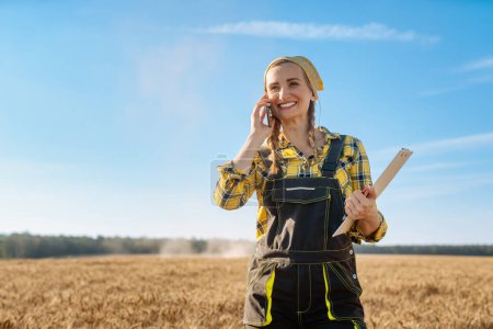 Foto de Agricultor usando su teléfono en un campo de grano durante la cosecha - Imagen libre de derechos
