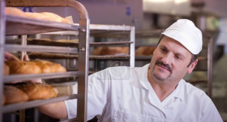 Photo for Baker in a commercial bakery getting fresh bread out of the oven on trays - Royalty Free Image