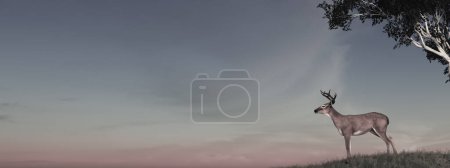 Téléchargez les photos : Un cerf solitaire se dresse sur un monticule herbeux sous un arbre tentaculaire, silhouette par les douces teintes du crépuscule. - en image libre de droit