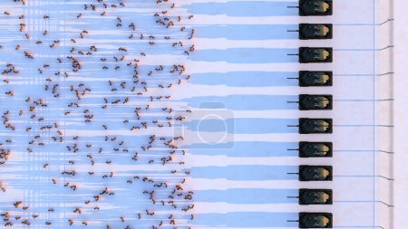 Photo for An overhead shot capturing the disciplined march of soldiers in formation alongside a row of military tanks, evoking a sense of order and precision. - Royalty Free Image