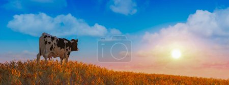 A solitary cow stands atop a ridge, gazing into the distance as the setting sun casts a warm glow over the amber field, evoking a peaceful rural scene.