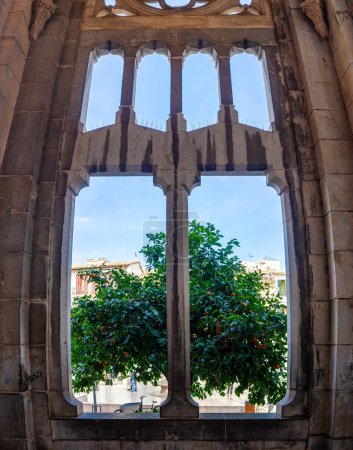 An orange tree framed by the stone tracery of a Gothic window, blending nature with architecture